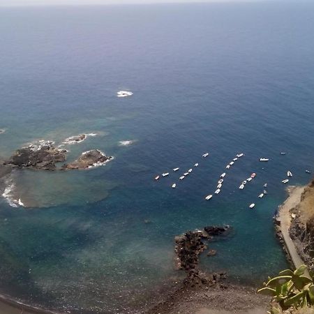 Carnaval A Tenerife Ла Лагуна Екстериор снимка